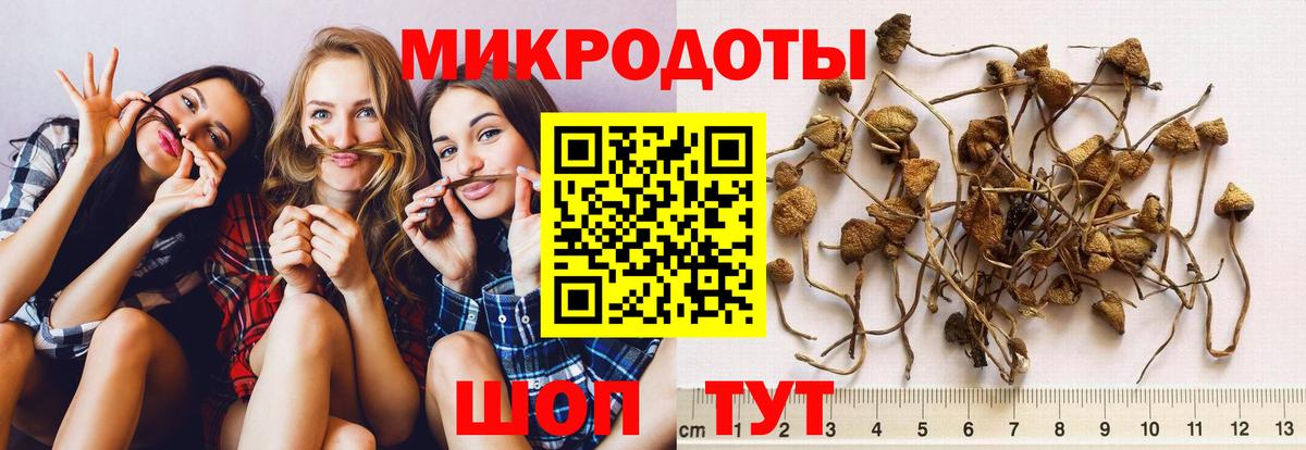 Псилоцибиновые грибы GOLDEN TEACHER  Вход с VPN  Таганрог  где купить   Псилоцибиновые грибы ЛСД 